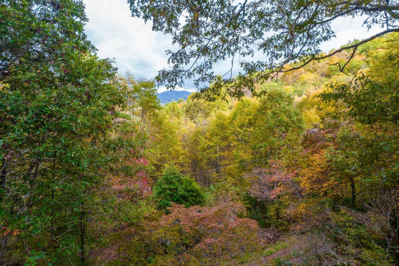 Mountain Top Tranquility 西尔瓦 外观 照片